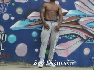 Brak_Dick11inches