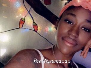 Bre_Shawn2020