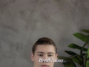 BredCollins