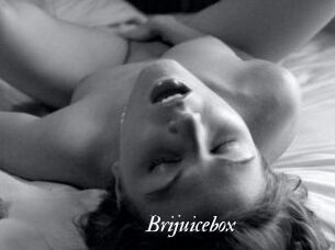 Brijuicebox