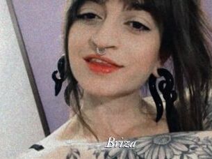 Briza Partouze