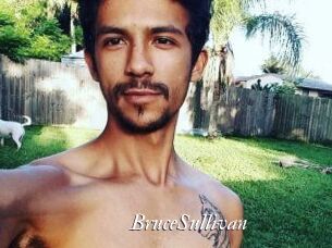 Bruce_Sullivan Partouze