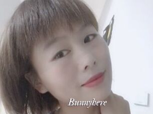 Bunnyhere