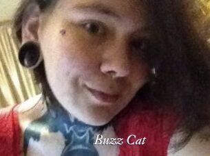 Buzz_Cat