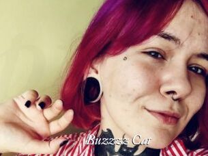 Buzzzz_Cat