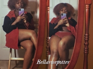 Bellarosepotter