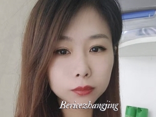 Bericezhangjing