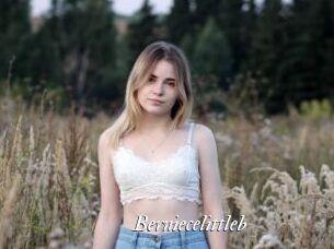 Berniecelittleb