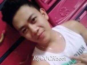 BigCOCK2001