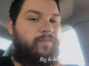 Big_bi_bear