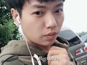 Bigcock214