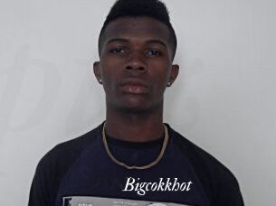 Bigcokkhot