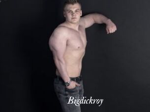 Bigdickroy