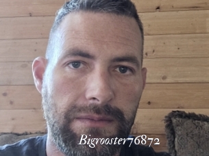 Bigrooster76872