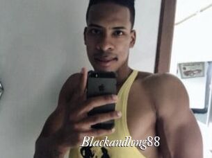 Blackandlong88