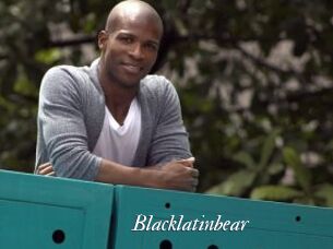 Blacklatinbear