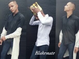 blakemate Partouze