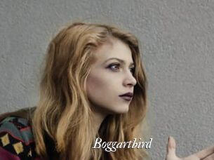 Boggartbird