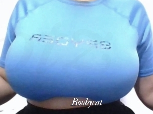 Boobycat