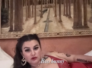 Boss_bunny