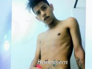 Boyhornysexy1