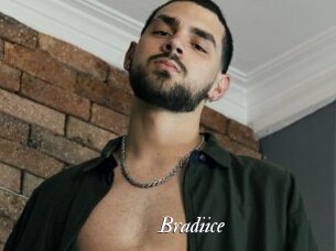 Bradiice