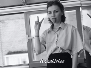 Bramblebee