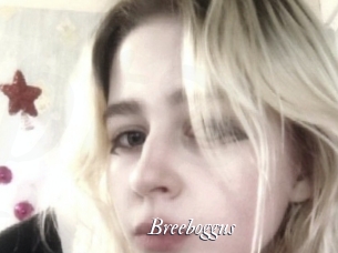 Breeboggus