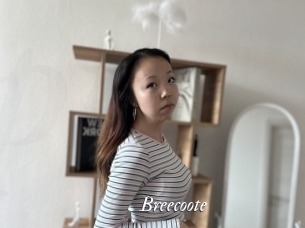 Breecoote