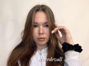 Breedevall
