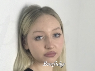 Breefudge