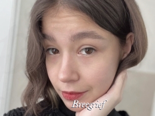 Breegrief