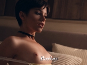 Breehays