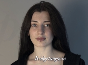 Bridgetangwin
