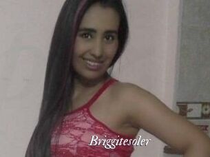 briggitesoler Partouze