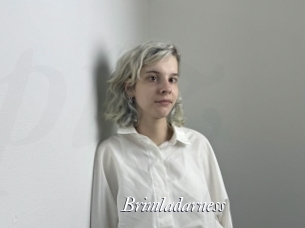 Brimladarness