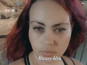 Bunny_bleu