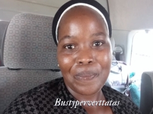 Bustyperverttatas