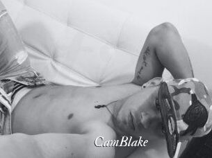 Cam_Blake Partouze