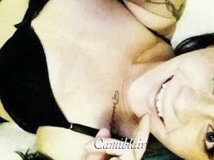 Camiblair_