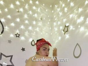 Caribean_Flower