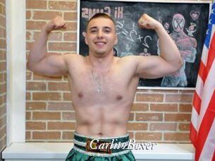CarlitoBoxer