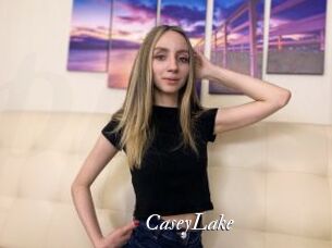 CaseyLake