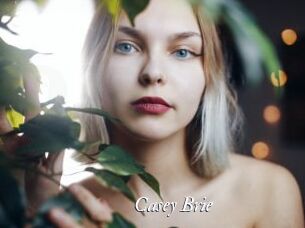 Casey_Brie Partouze
