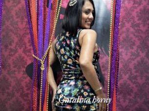 Catalina_horny