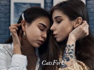 CatsForU