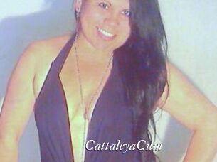 CattaleyaCum