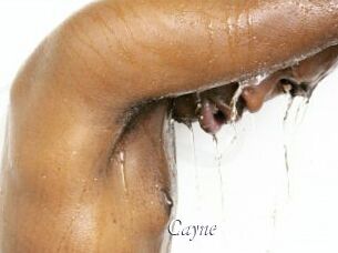 Cayne Partouze