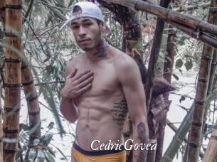 CedricGovea