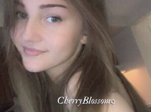 CherryBlossom0
